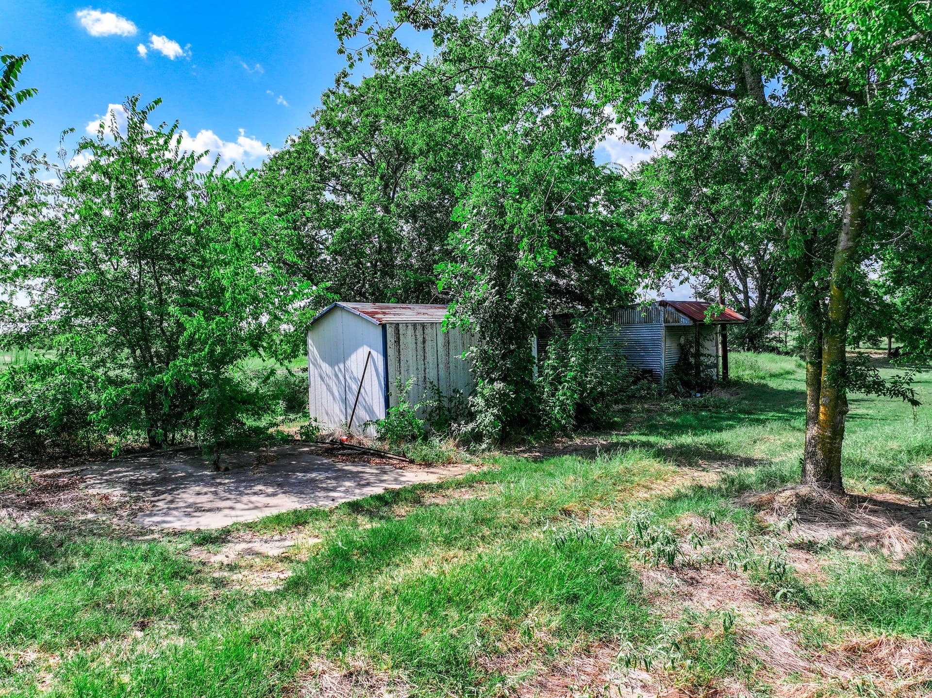 78.16 acres in Hopkins County - photo 18