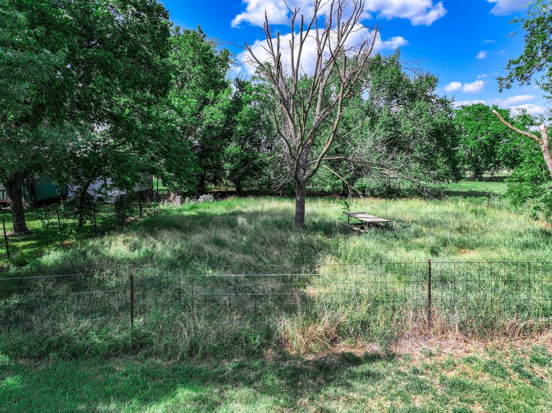 78.16 acres in Hopkins County - photo 21