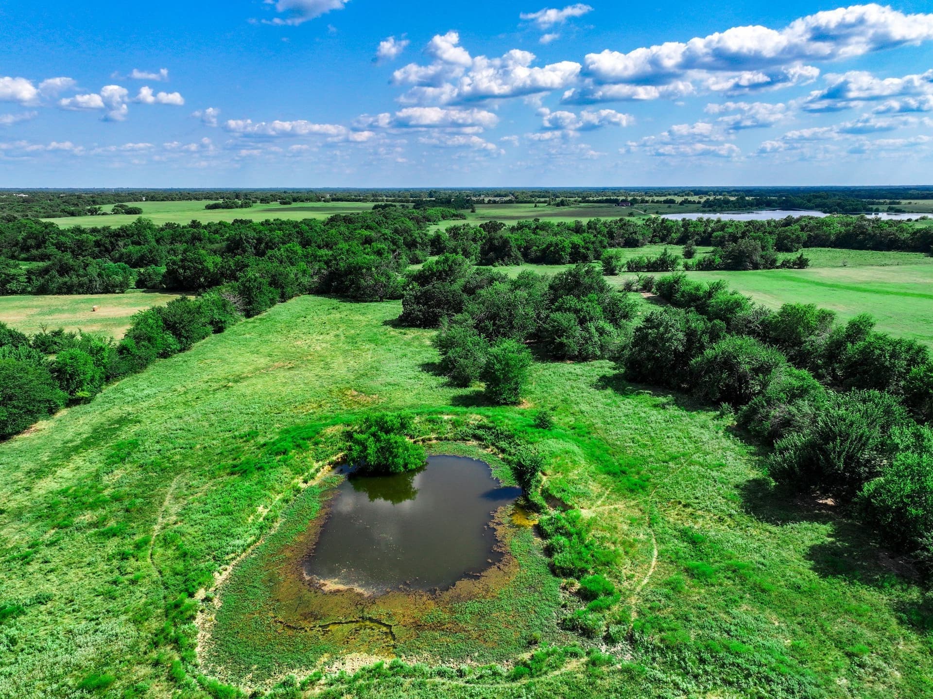 78.16 acres in Hopkins County - photo 14