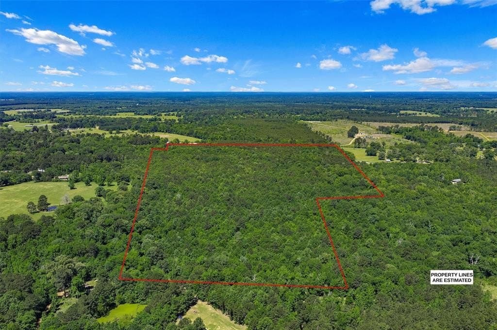 106 acres in Panola County featured view