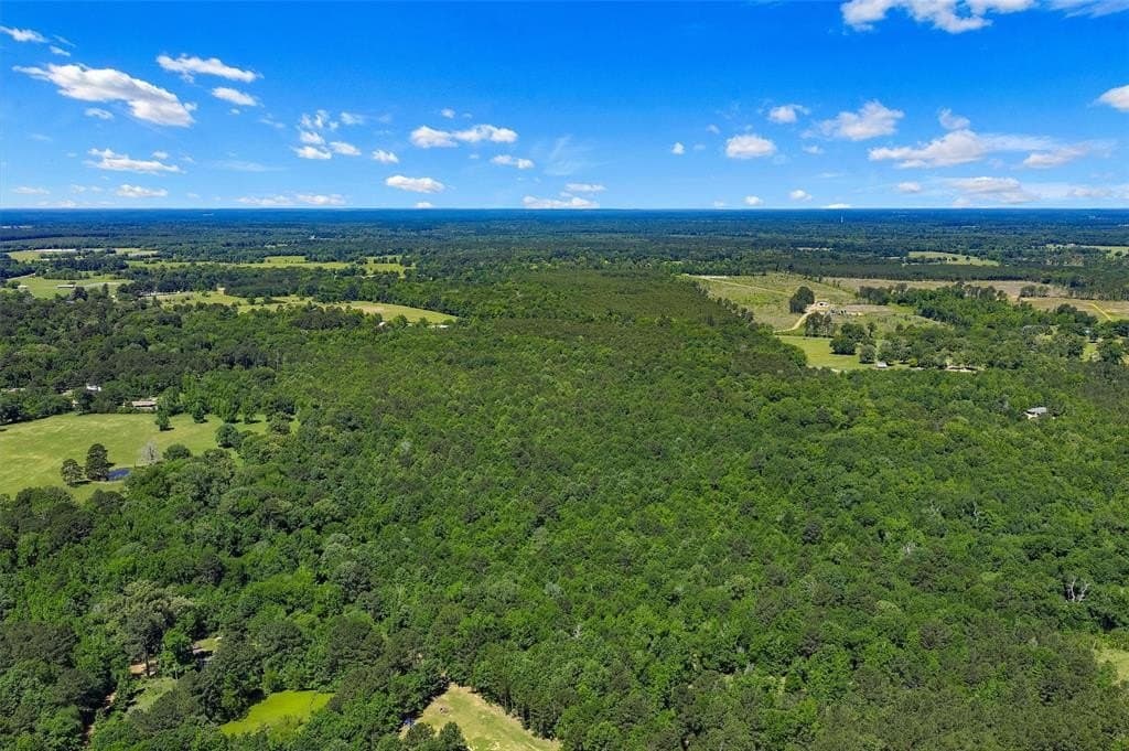 106 acres in Panola County gallery image 4