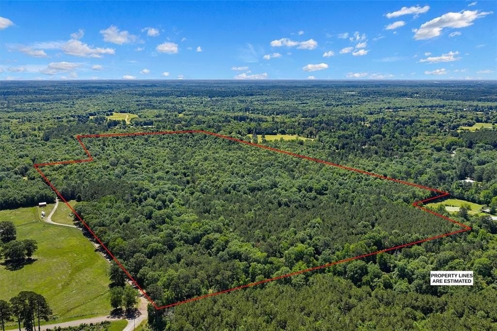 106 acres in Panola County gallery image 3