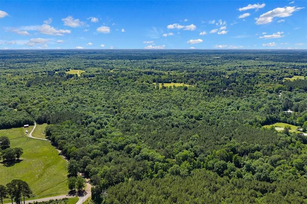 106 acres in Panola County gallery image 2