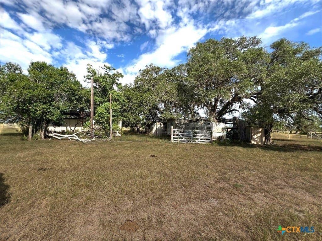 211.43 acres in Lavaca County gallery image 3