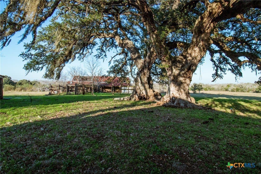 211.43 acres in Lavaca County