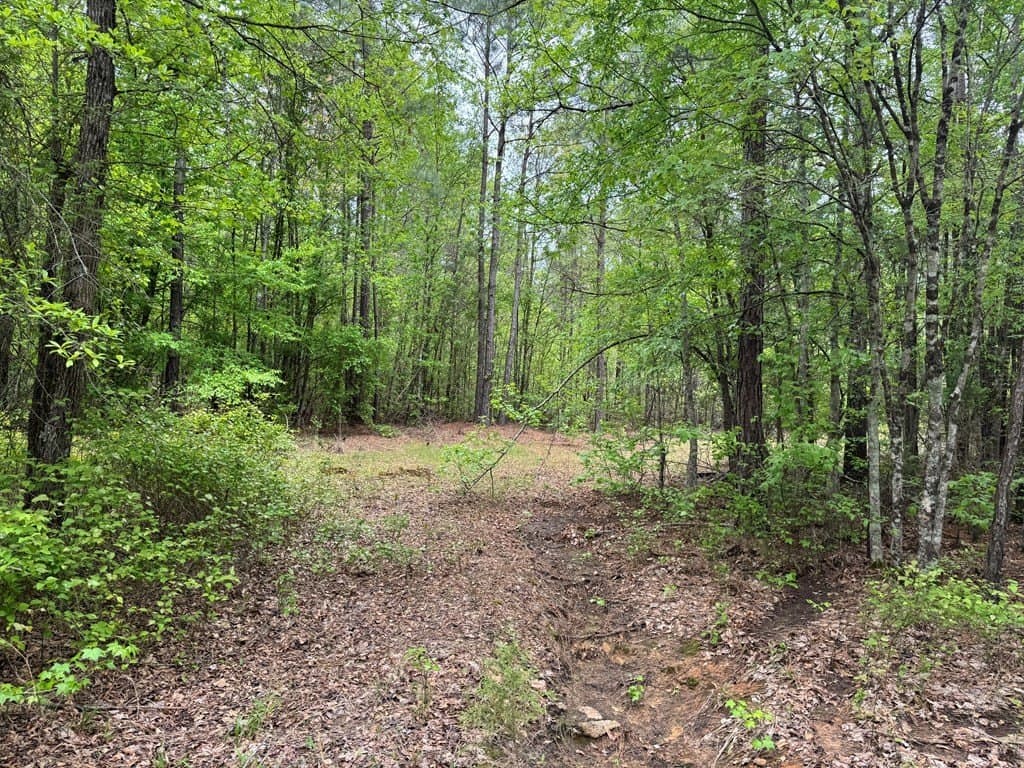 114.2 acres in Cass County - photo 9