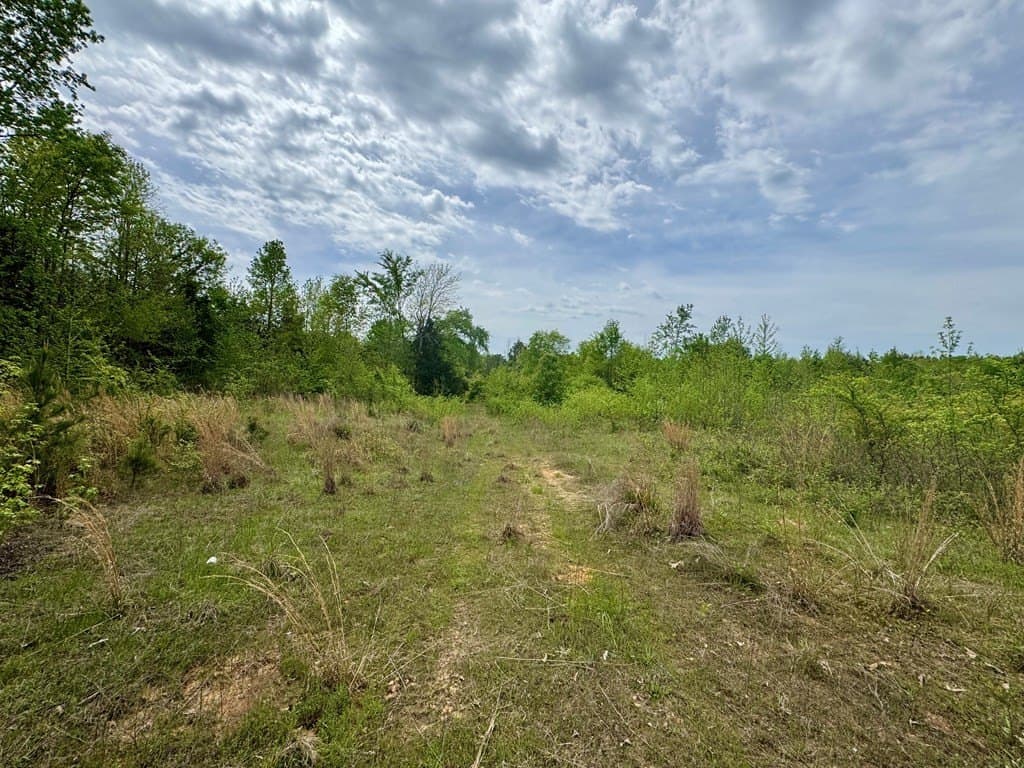 114.2 acres in Cass County gallery image 4