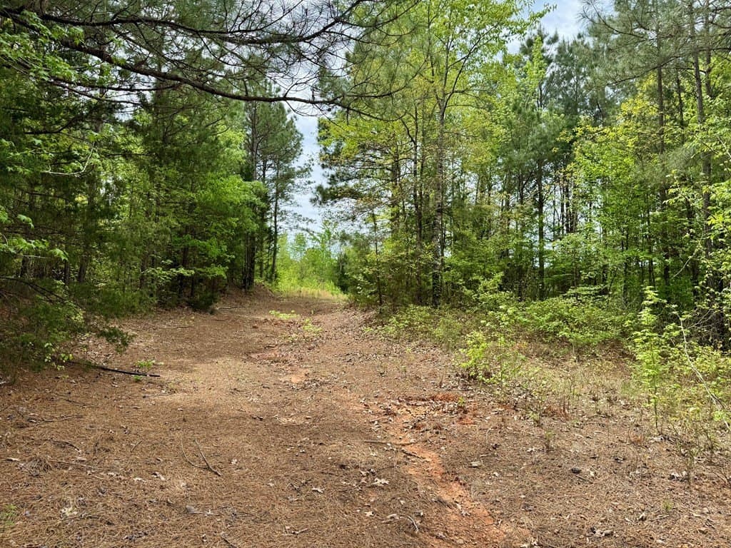 114.2 acres in Cass County featured view