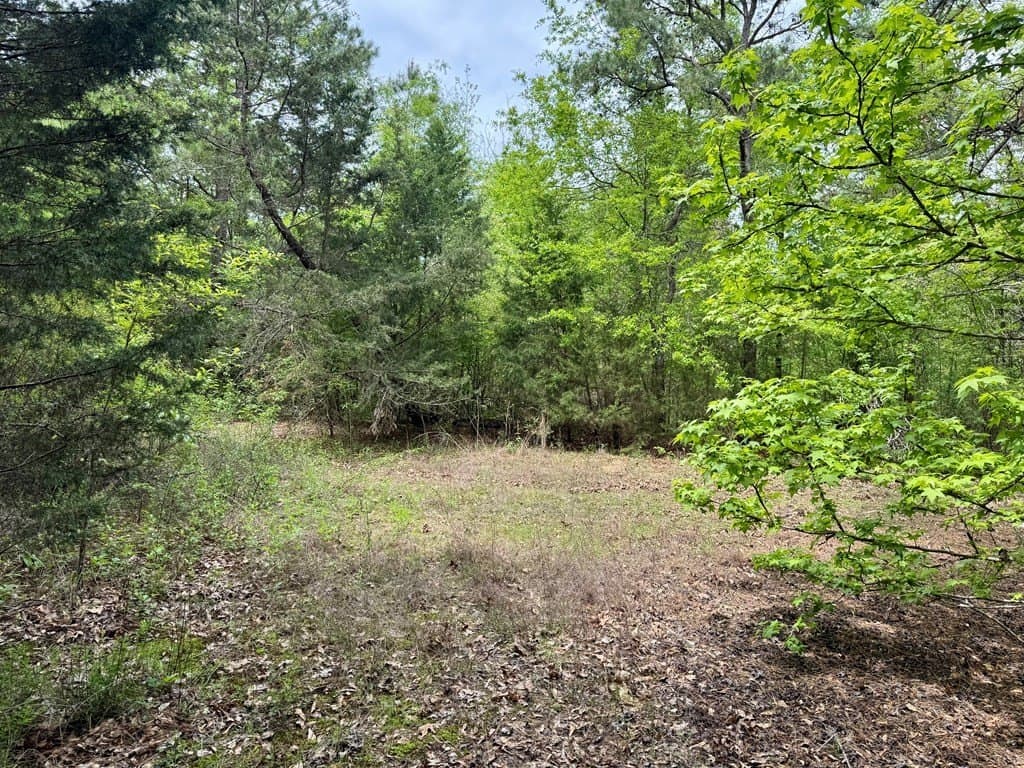 114.2 acres in Cass County - photo 10