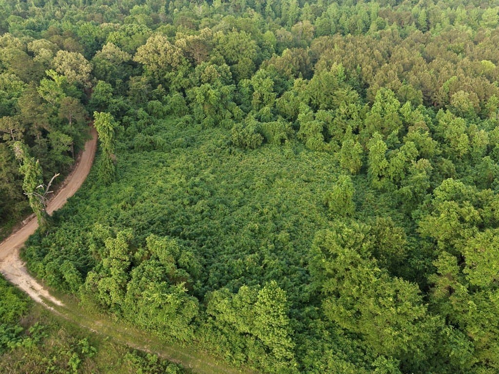 114.2 acres in Cass County - photo 15