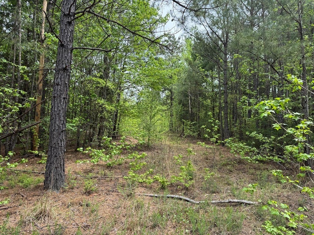 114.2 acres in Cass County - photo 18