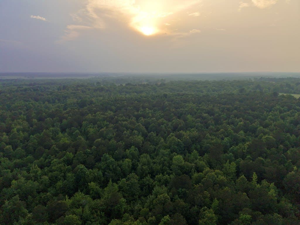 114.2 acres in Cass County - photo 11