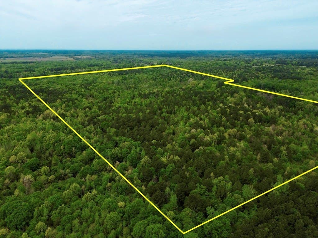 114.2 acres in Cass County - photo 21