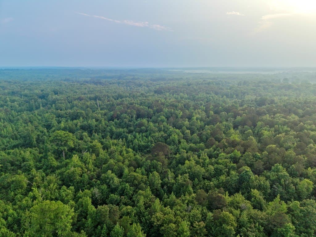 114.2 acres in Cass County - photo 20
