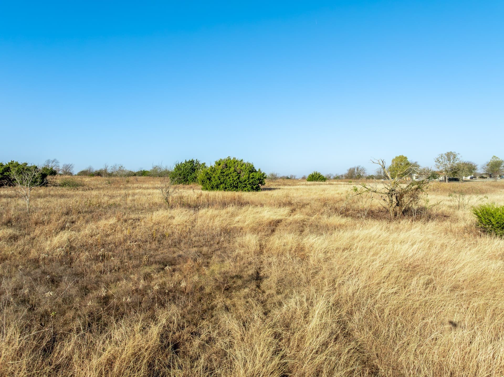 5.16 acres in McLennan County gallery image 4