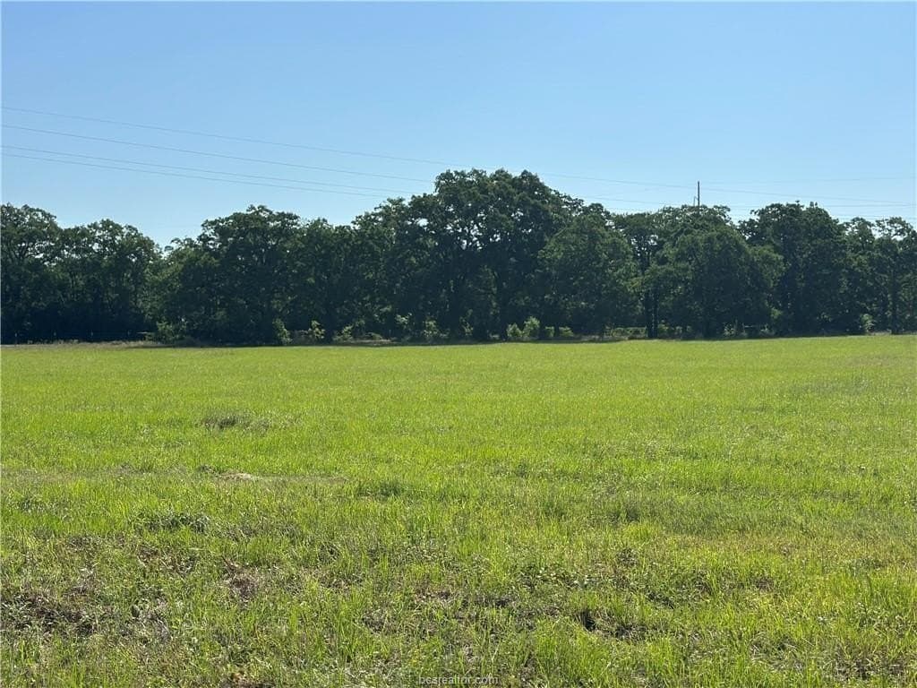 1.01 acres in Grimes County gallery image 2