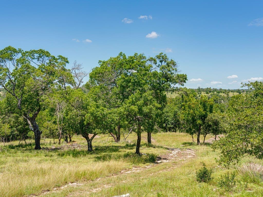 4.46 acres in Gillespie County - photo 19