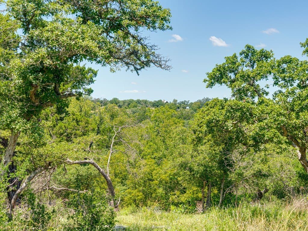 4.46 acres in Gillespie County - photo 9