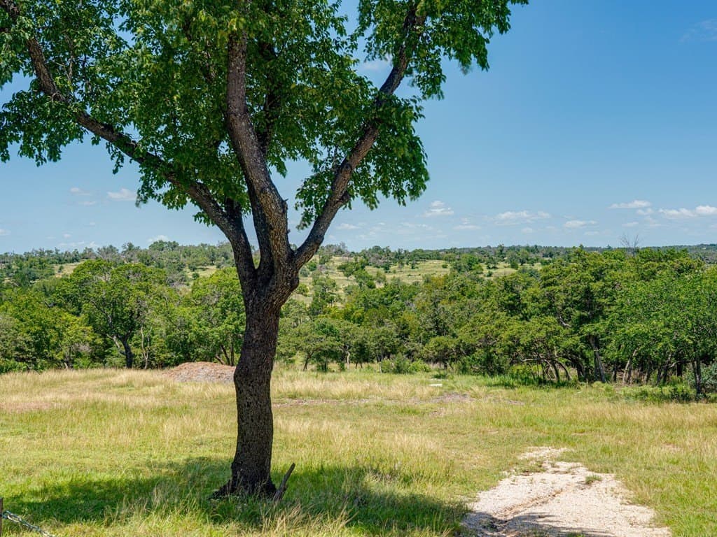 4.46 acres in Gillespie County - photo 14