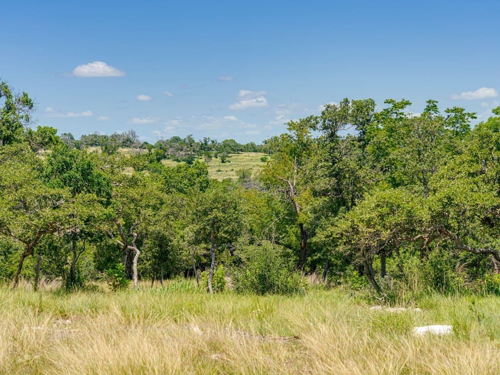 4.46 acres in Gillespie County - photo 16
