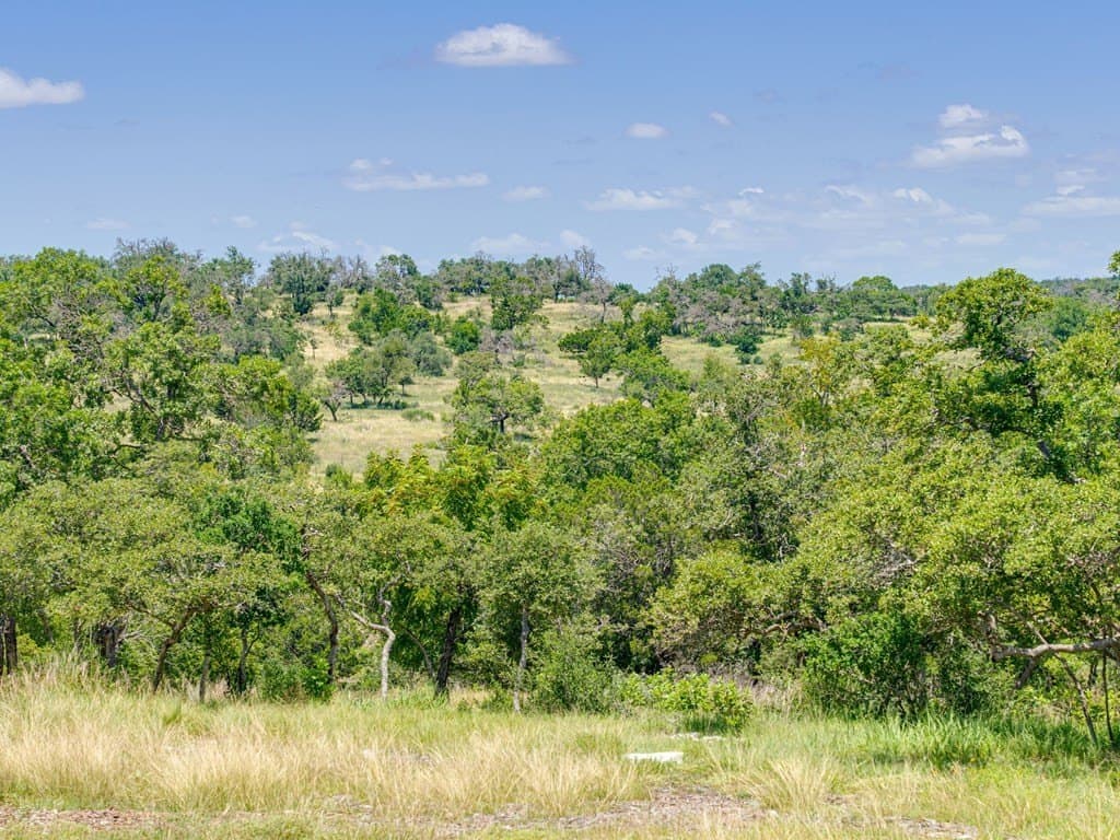 4.46 acres in Gillespie County - photo 15