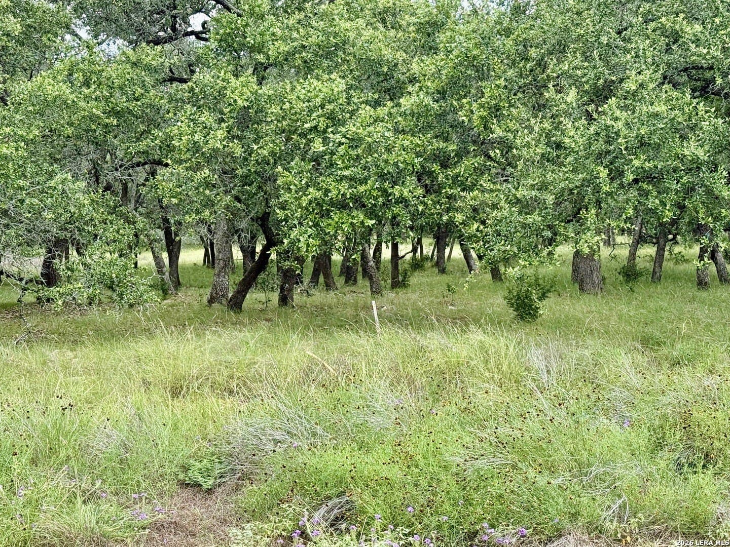 2.14 acres in Comal County - photo 7