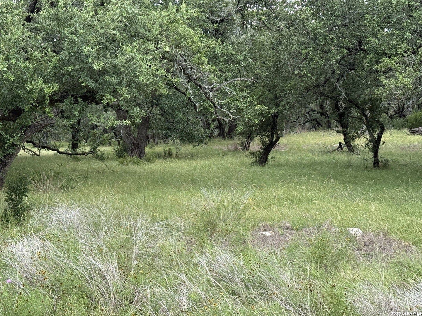 2.14 acres in Comal County - photo 9