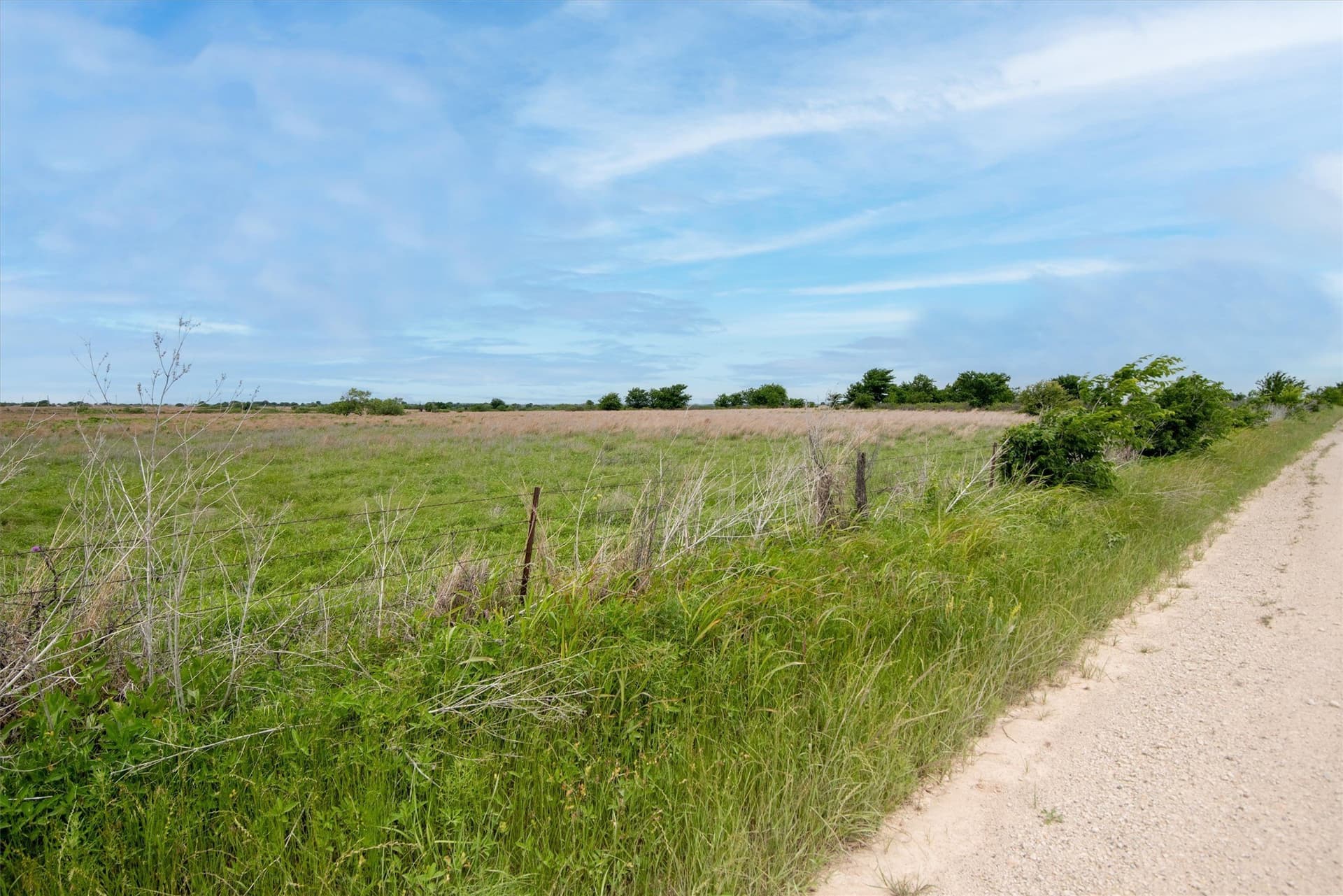 63.12 acres in Montague County gallery image 4