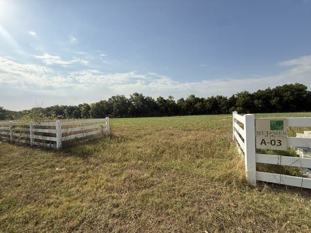 2 acres in Dallas County - photo 7