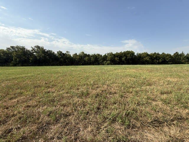2 acres in Dallas County - photo 5