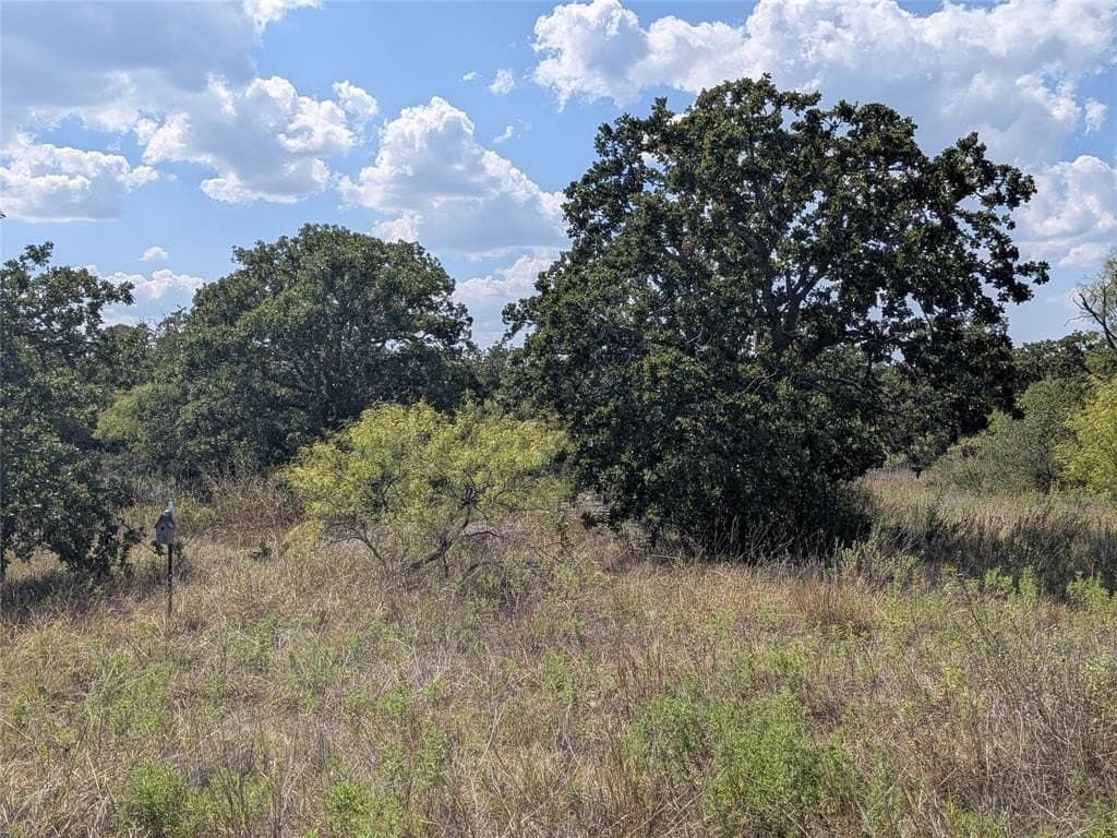 12.11 acres in Eastland County gallery image 3