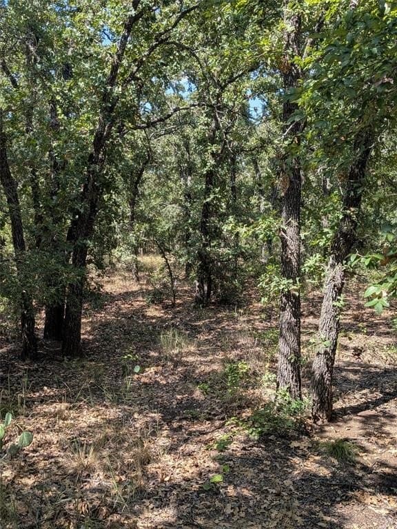 12.11 acres in Eastland County gallery image 4