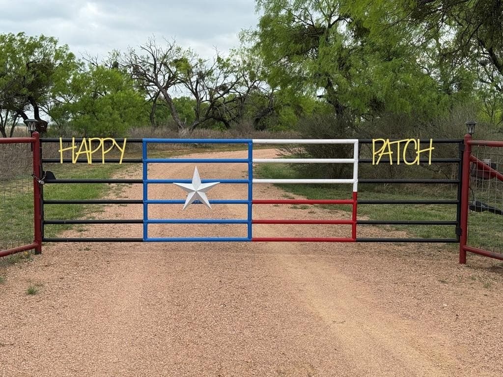30.34 acres in San Saba County gallery image 2