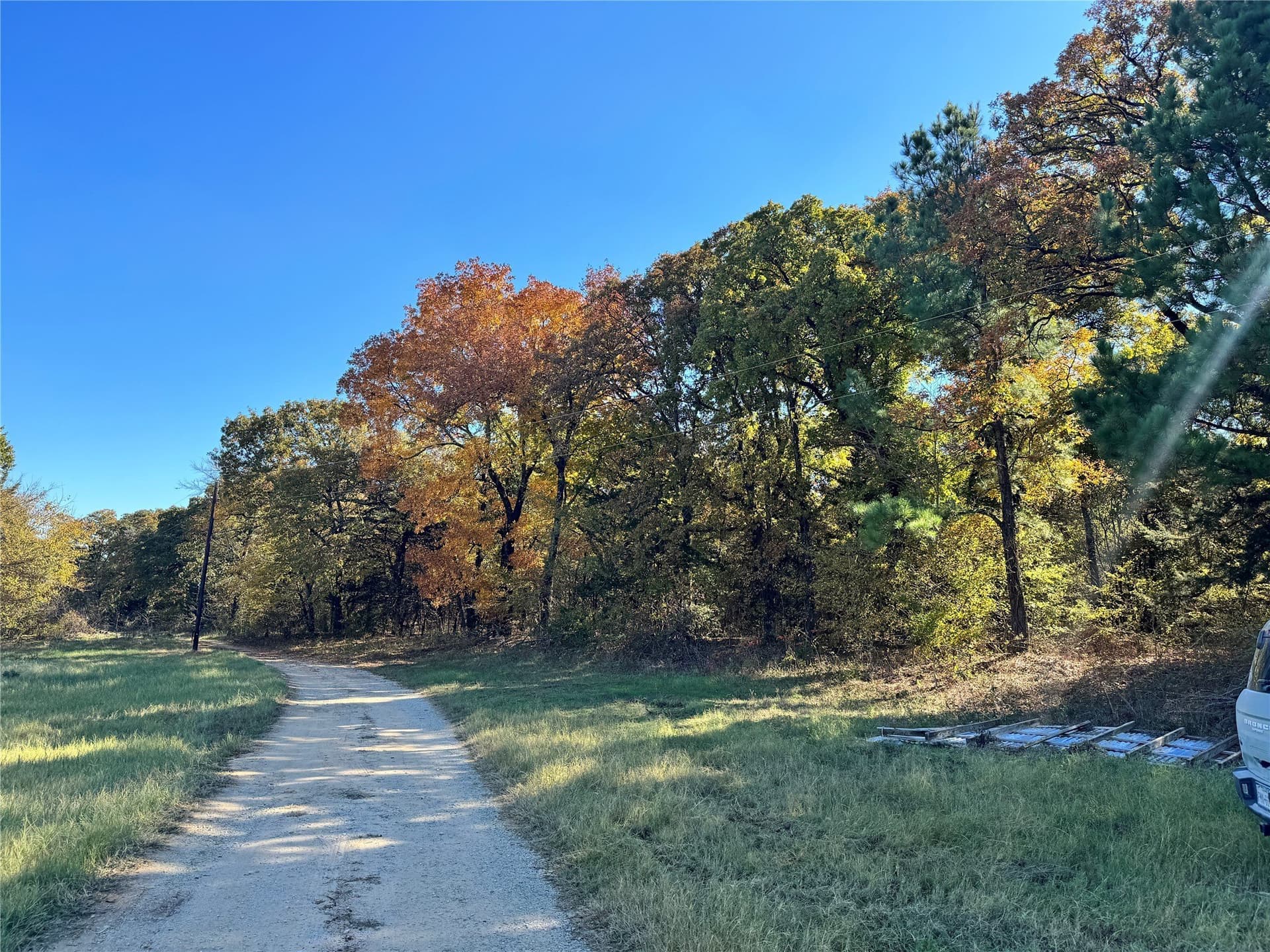 11.05 acres in Cooke County - photo 4