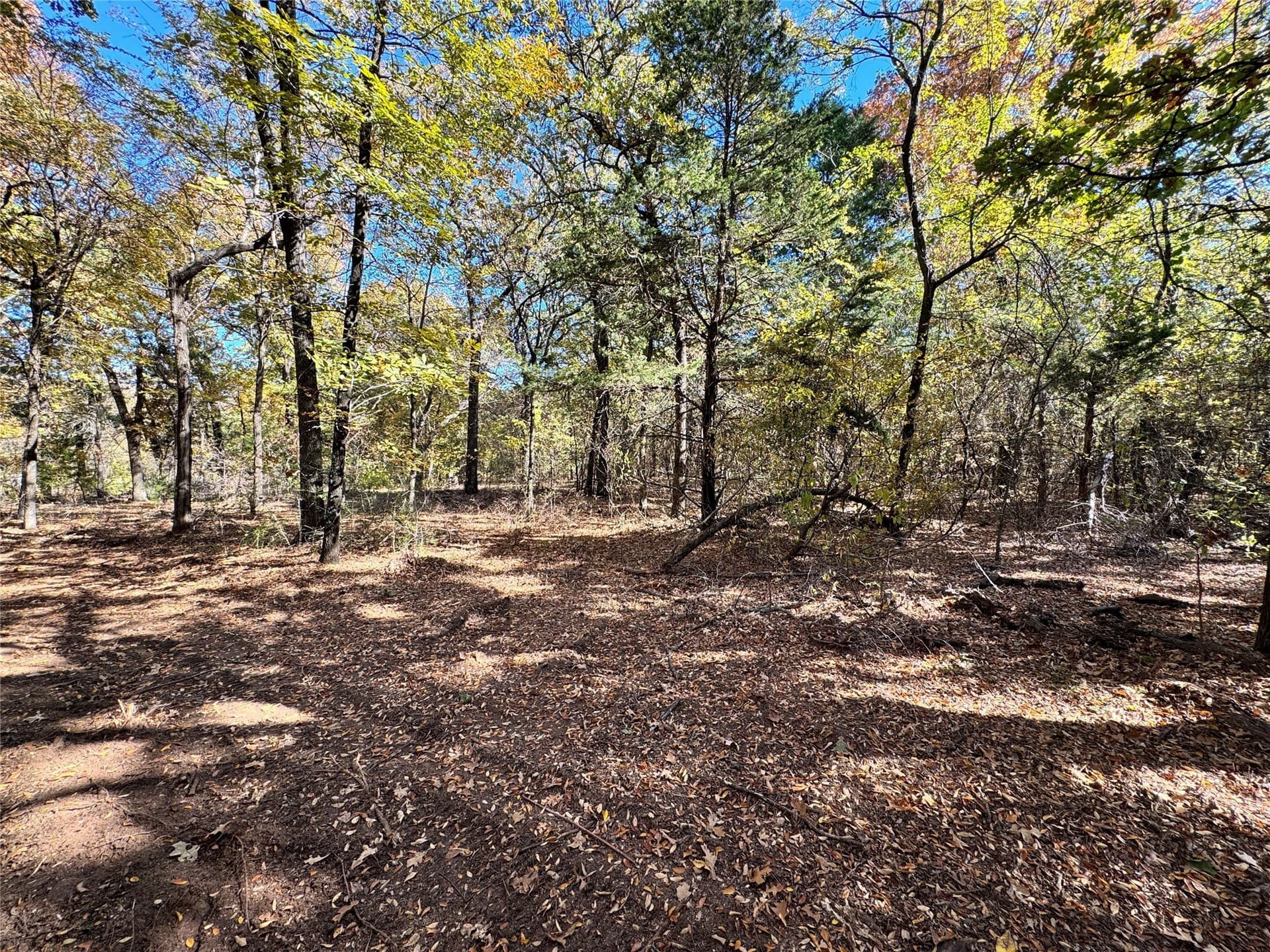 11.05 acres in Cooke County - photo 6