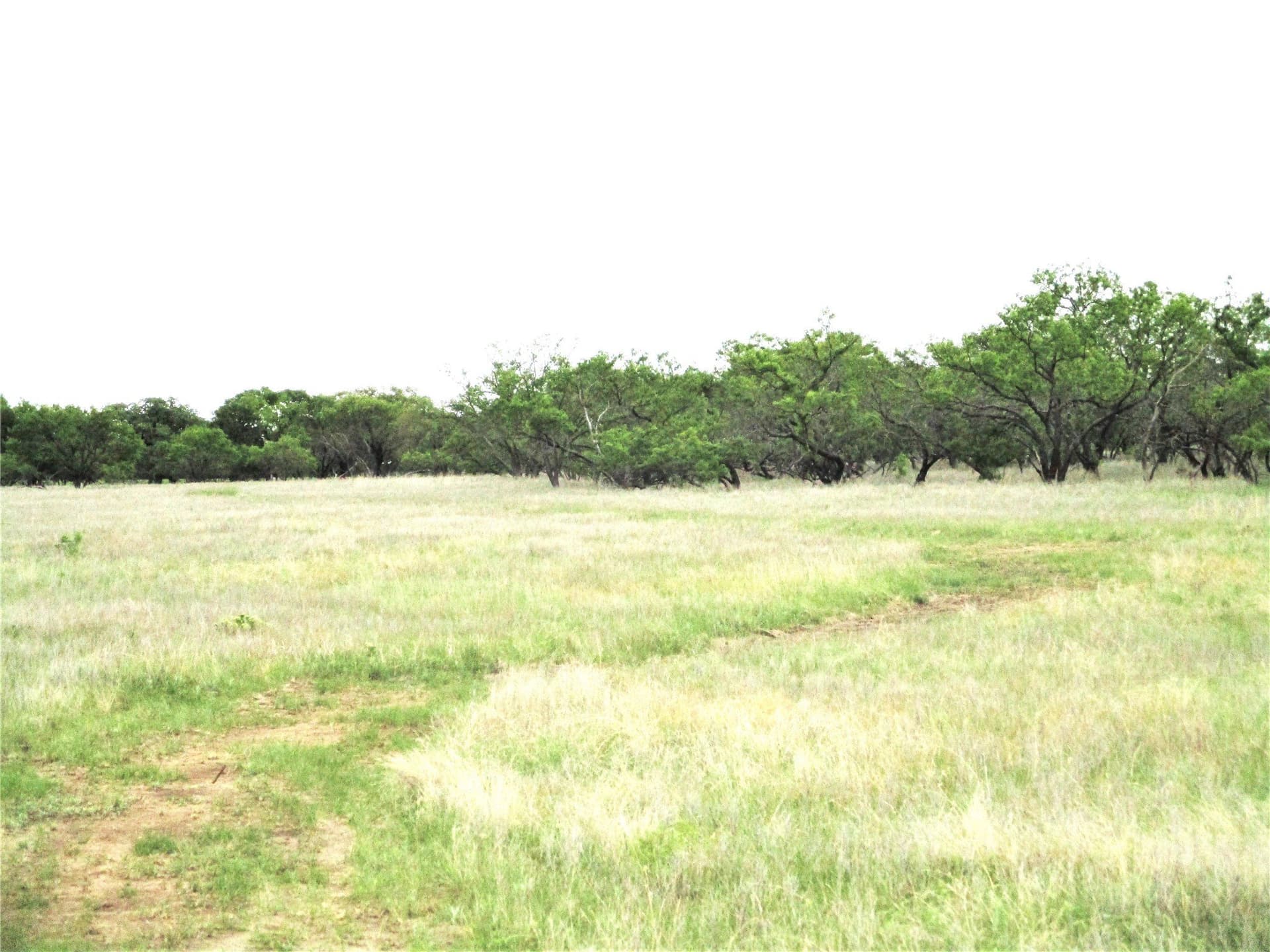 19.73 acres in Jack County