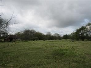 39 acres in Hopkins County - photo 7