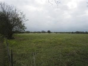 39 acres in Hopkins County - photo 11