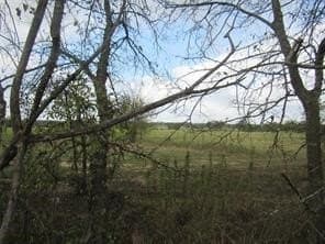 39 acres in Hopkins County - photo 19