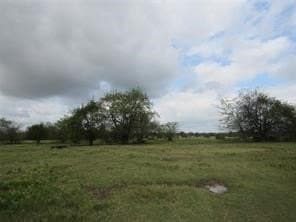 39 acres in Hopkins County - photo 4