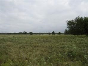 39 acres in Hopkins County - photo 15