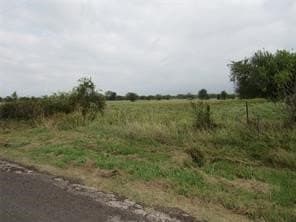 39 acres in Hopkins County - photo 14