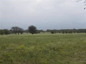 39 acres in Hopkins County - photo 13