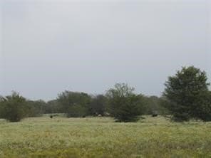 39 acres in Hopkins County - photo 3