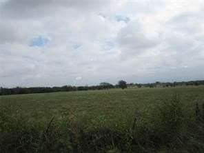 39 acres in Hopkins County - photo 17
