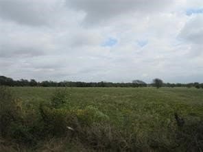 39 acres in Hopkins County - photo 8