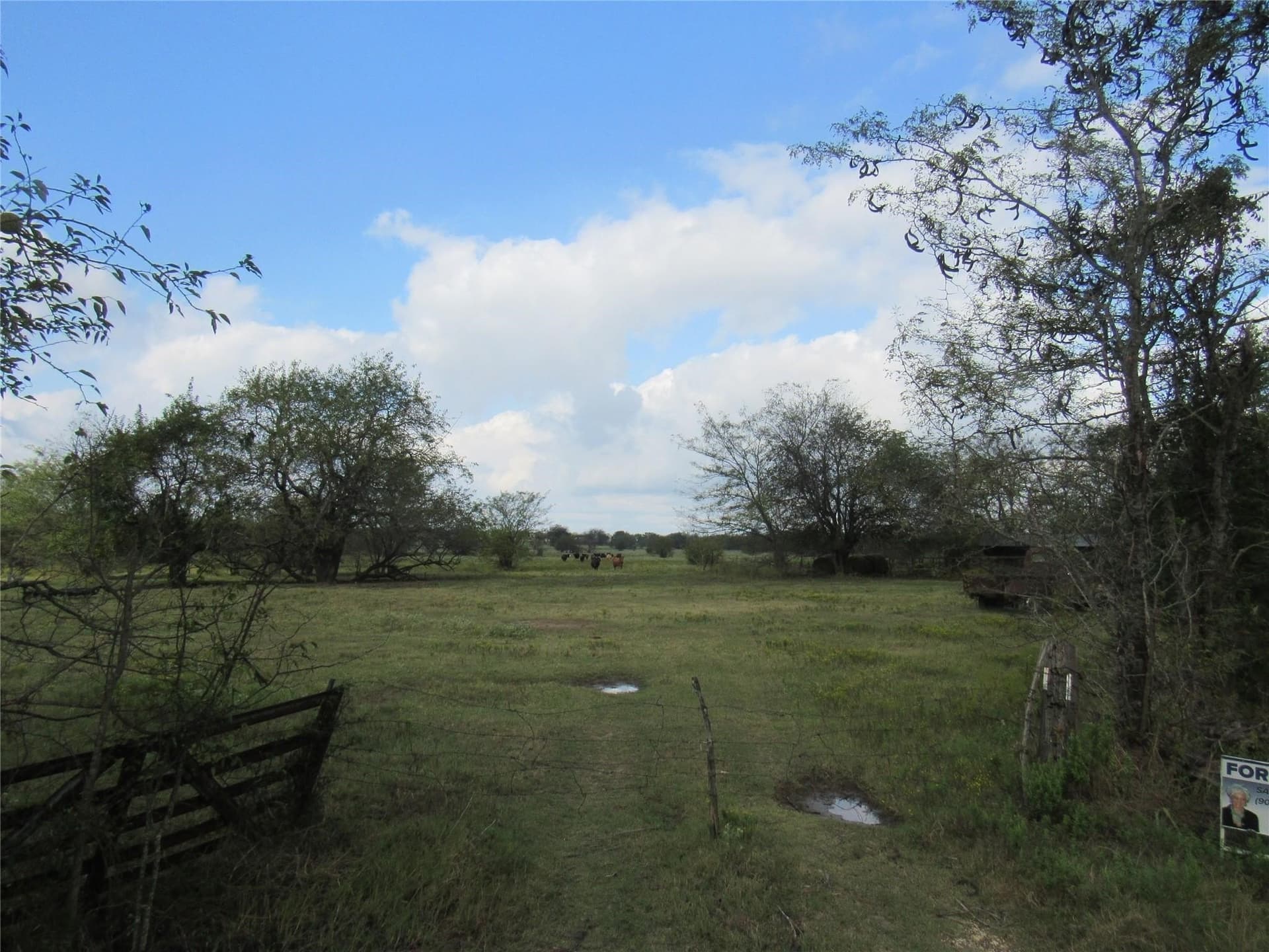 39 acres in Hopkins County