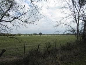 39 acres in Hopkins County - photo 10