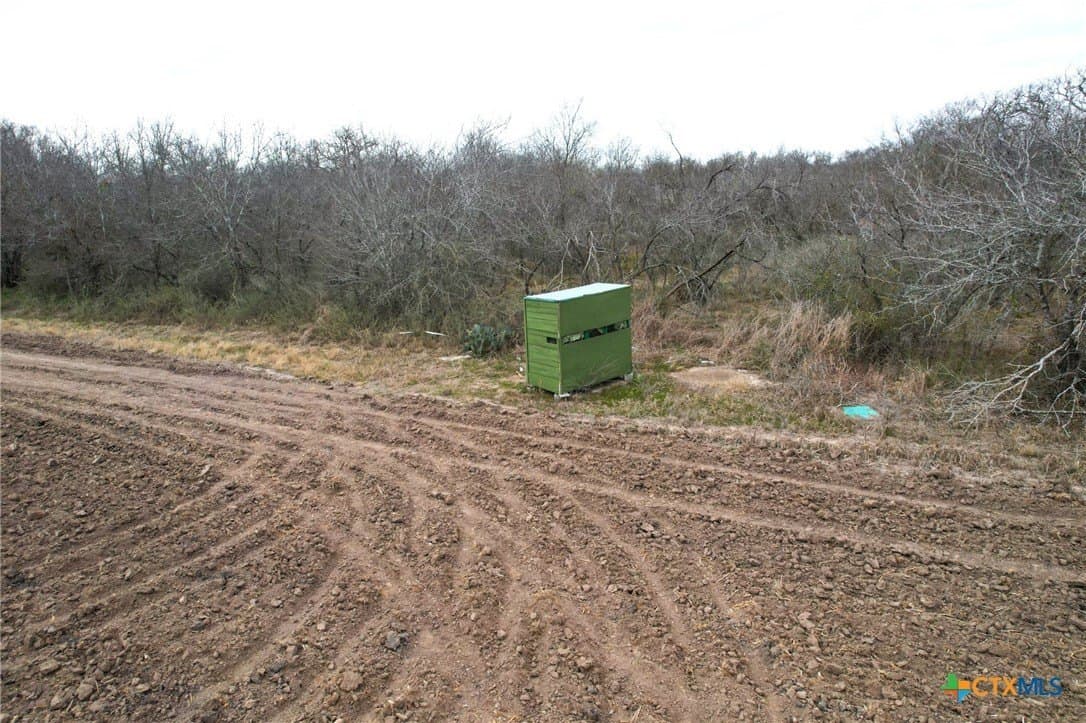 49.91 acres in Milam County - photo 8