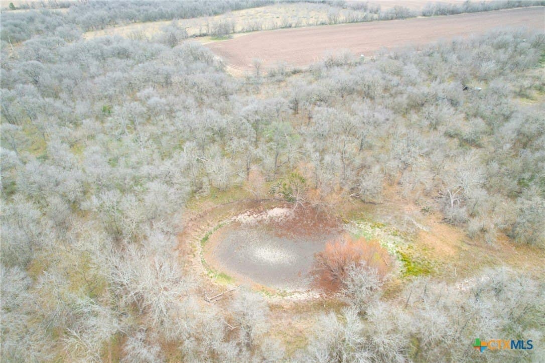 49.91 acres in Milam County - photo 12